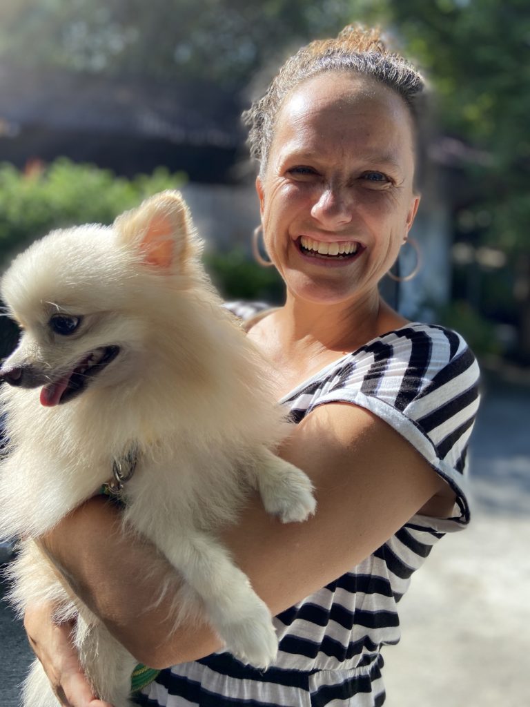 Os pets de estimação