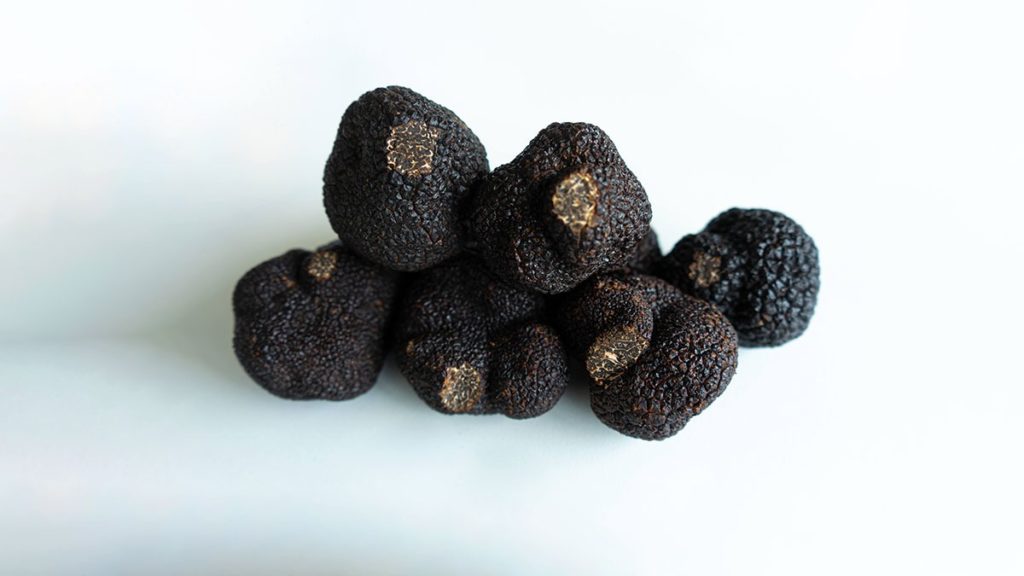 festival de truffas